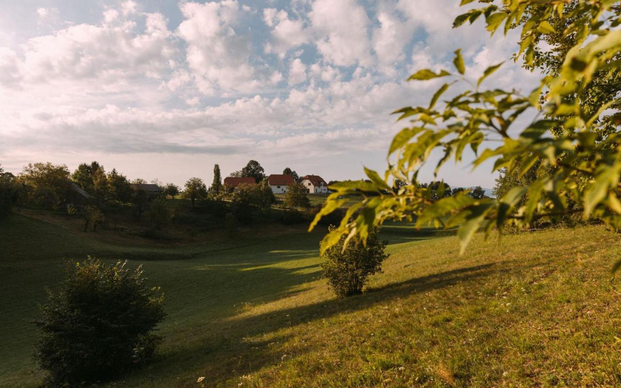 Hotel Hisa Na Ravnah Pišece Zewnętrze zdjęcie